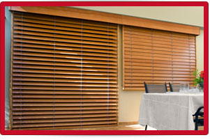 Plants: image 1 0f 4 thumb